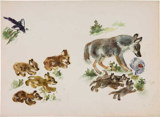 Неизвестный художник. "... Волчонкам волчица принесла еду. Каждый еду к себе потянул. Ворчат-рычат..." (копия с рисунка Е. И. Чарушина)